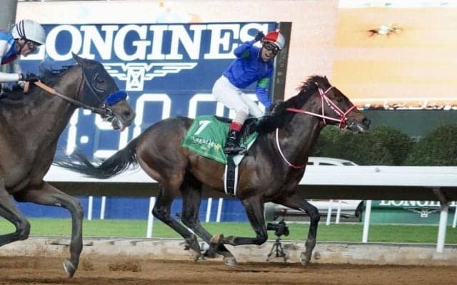 パンサラッサの引退式…12月23日に中山競馬場