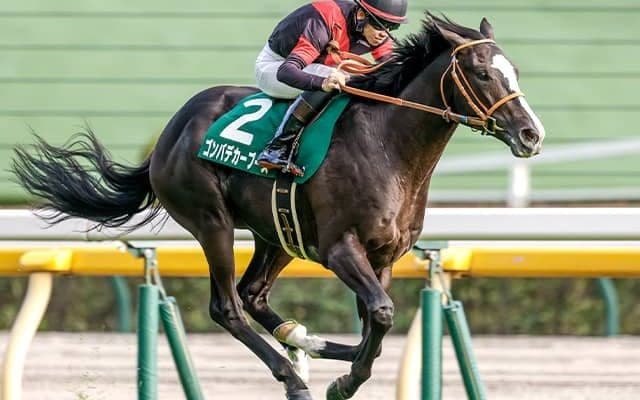 【ホープフルS想定馬・騎手】ゴンバデカーブース、シンエンペラーなど20頭