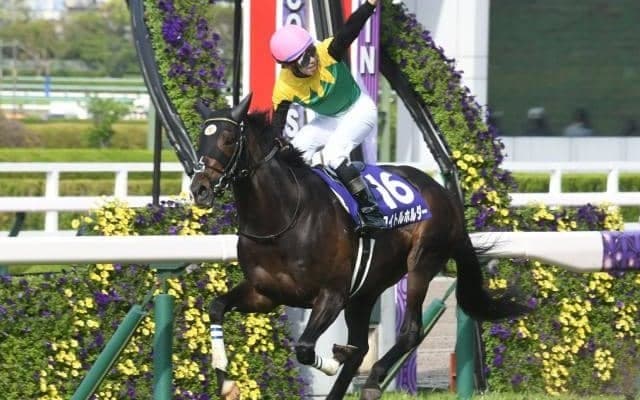 【有馬記念想定馬・騎手】タイトルホルダー、ジャスティンパレスなど18頭