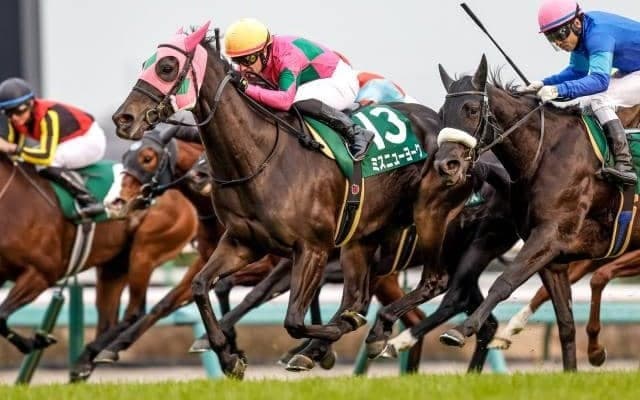 【ターコイズS想定馬・騎手】ミスニューヨーク、ソーダズリングなど23頭