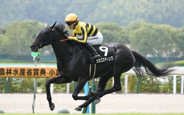 阪神JFは荒れる予感...穴党記者は過去３年で躍動した馬とはレースぶりが異なる２頭に注目