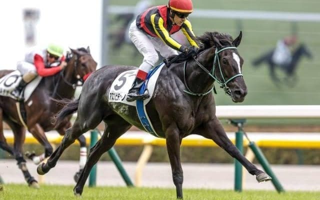 【阪神JF予想】勝ち負け必至の抜けた一頭！ 馬体から浮かび上がる最有力候補