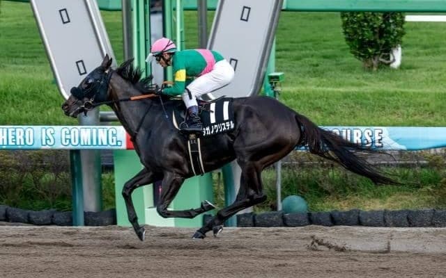 【カペラS予想】最後の急坂で止まるシーンも!? パワーが求められるダート重賞