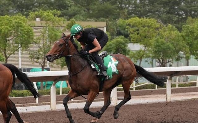 イクイノックスの影響？　外国馬がジャパンCを回避して香港国際競走に出走する理由