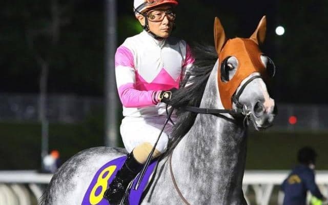 カペラSでJRA重賞最年長勝利へ 57歳騎手×8歳古豪の“ベテランタッグ”参戦