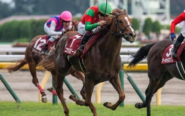 霜降り明星・粗品「スピード、競馬センスは目を見張る」 阪神JFは3連単1着固定32点勝負