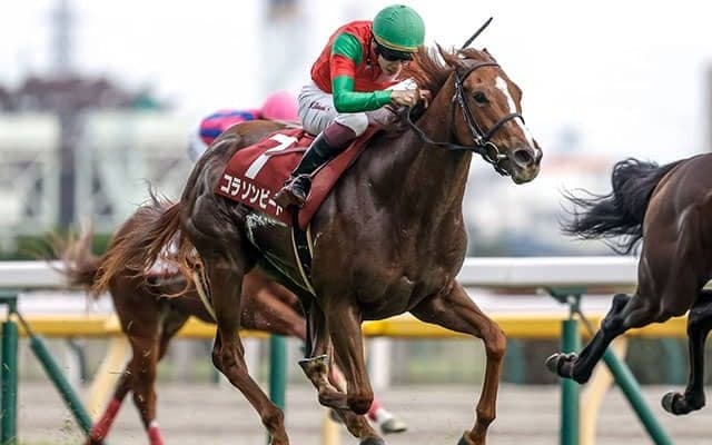 【今日の注目ポイント】2歳女王決定戦・阪神JF、香港国際競走に日本馬13頭参戦