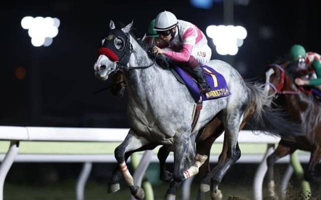 【カペラS予想】2年連続2着の8歳古豪 安定感ピカイチで今度こそ