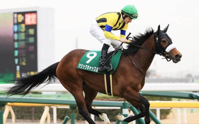 厩舎スタッフが絶賛するミラビリスマジック「動きは軽いし、走りがいい。素質は十分」