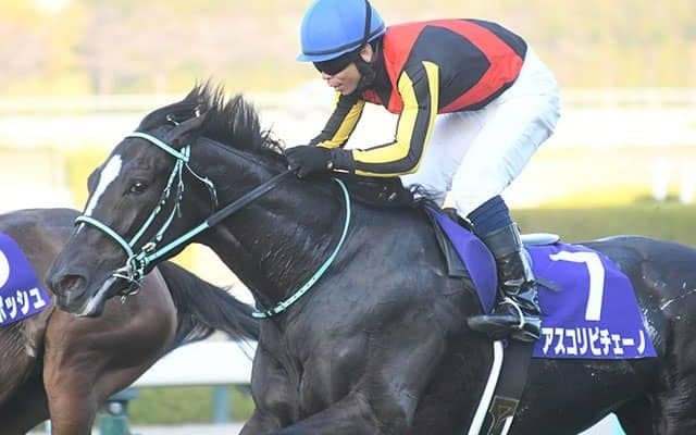 【阪神JF】アスコリピチェーノ、無傷の3連勝で2歳女王！