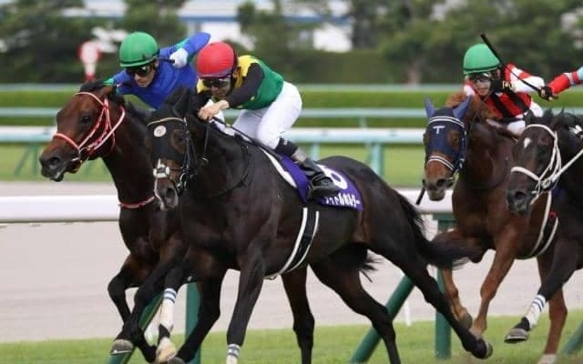 【有馬記念登録馬】タイトルホルダー、ジャスティンパレスなどGI馬9頭含む20頭