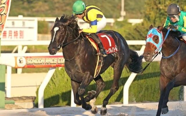 【川崎・全日本2歳優駿枠順】3連勝中のイーグルノワールは1枠1番