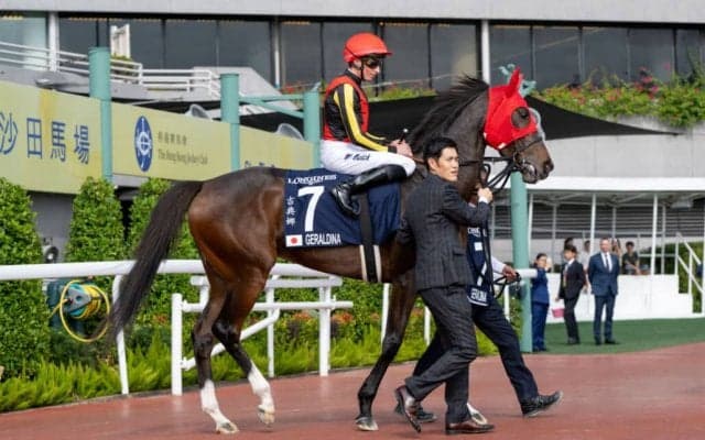 【香港ヴァーズ】斉藤崇師「よく踏ん張ってくれた」ラストランのジェラルディーナは4着まで