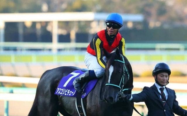 【阪神JF】北村宏「リズム重視で運んだ」アスコリピチェーノが2歳無敗女王