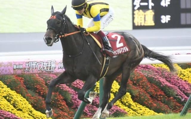 2歳マイル王決定戦・朝日杯FSと牝馬のハンデ戦ターコイズS/今週の競馬界の見どころ