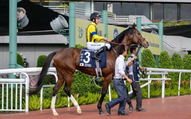 【香港ヴァーズ】ゼッフィーロは惜しい2着…レース後コメント