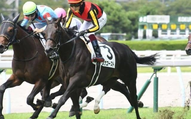 【ターコイズS見どころ】桜花賞2着馬コナコーストの初重賞制覇なるか