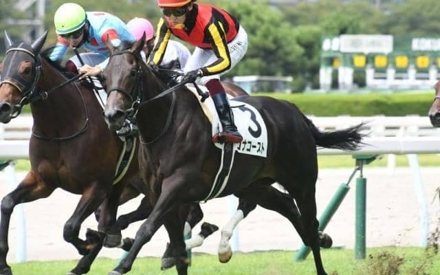 ターコイズS想定騎手22頭 コナコーストは鮫島克駿騎手、ヒップホップソウルは横山武史騎手