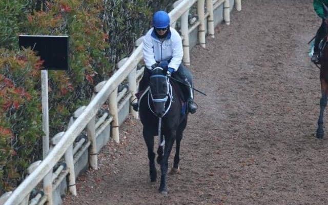寺島師「ここに照準を定める」 ラブコメディのポテンシャルに期待/関西馬メイクデビュー情報