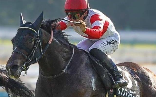 意外にも朝日杯FSは未勝利のC.ルメール騎手 2戦2勝の素質馬で初勝利狙う