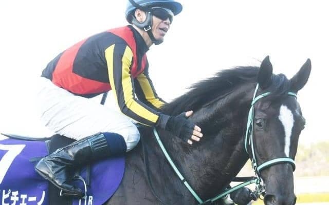 阪神JFを勝利するダイワメジャー産駒の“共通点” アスコリピチェーノも該当する“理想的配合”