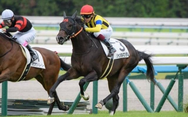 朝日杯FS想定騎手19頭 ダノンマッキンリーはC.ルメール騎手、ジャンタルマンタルは川田将雅騎手