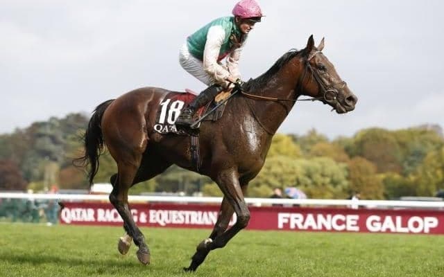 欧州の種牡馬が日本で成功するための条件とは？ 愛ダービー馬ウエストオーバーへの期待