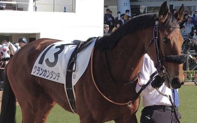【新馬/中山5R】藤岡佑「性格も良い馬」グランカンタンテがデビュー勝ち
