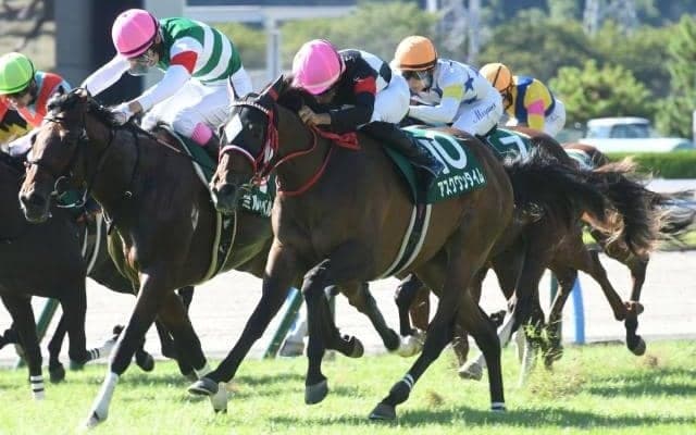 きょうだい悲願のGI制覇へ 小倉2歳S覇者が朝日杯FSでマイル克服だ