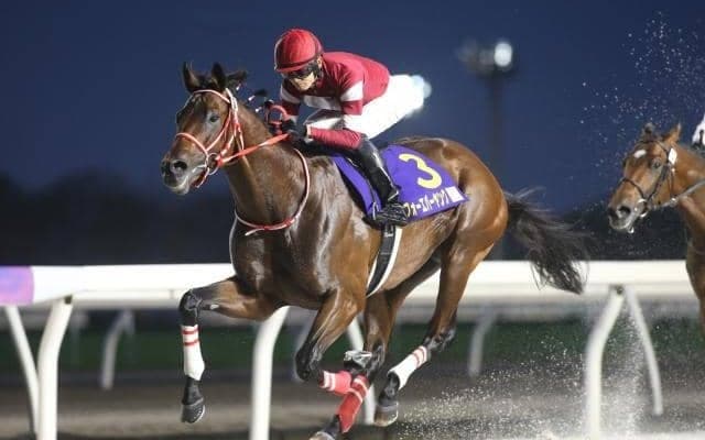 ウマ娘・藤田晋氏所有の無敗馬 全日本2歳優駿でオーナー初のGI級タイトル獲得狙う