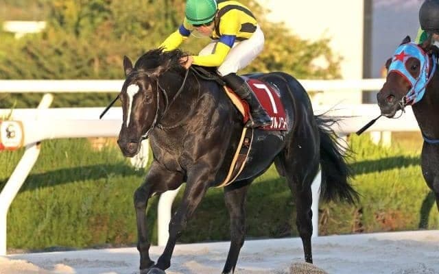 【全日本2歳優駿注目馬】ダート2歳王者はどの馬に… 全国から素質馬揃うJpnI競走