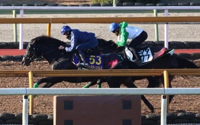 ジャスティンパレス、有馬記念1週前追い切り速報/栗東トレセンニュース
