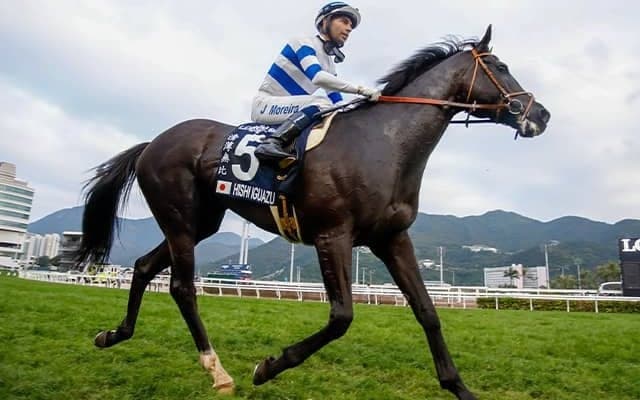 ヒシイグアス、ゼッフィーロなど 香港国際競走に遠征していた日本馬14頭が帰国