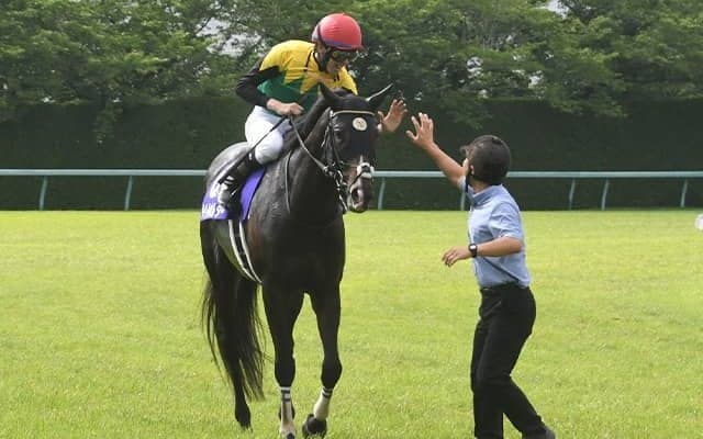 タイトルホルダーの引退式が有馬記念のレース後に開催 横山和生騎手、武史騎手など出席