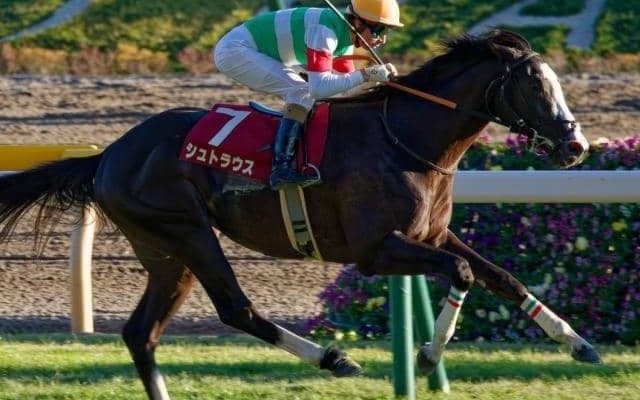 T.マーカンド騎手がJRA重賞初制覇へ 朝日杯FSで東スポ杯2歳S覇者とタッグ