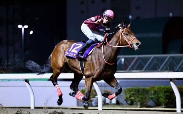 【全日本2歳優駿】フォーエバーヤングが7馬身差圧勝…サイバーエージェント藤田晋氏が交流G1初制覇