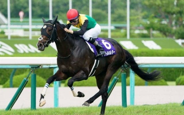 タイトルホルダーの引退式…12月24日に中山競馬場