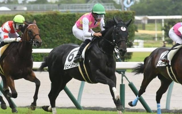 【朝日杯FS予想】AIは伏兵を本命抜擢 キャリアの多さなどは気になるが…傾向を覆せるか？