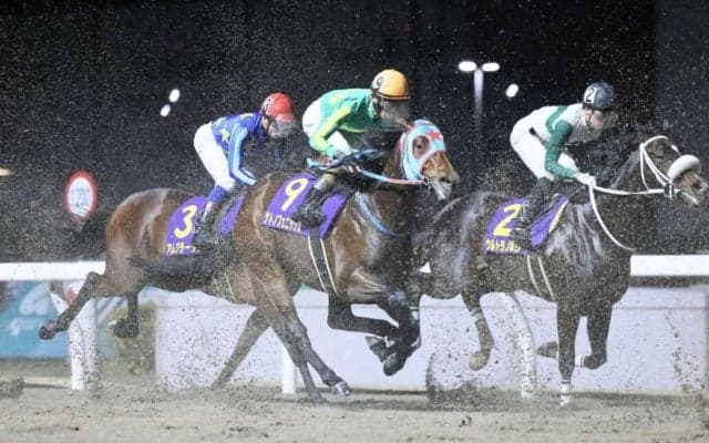 【全日本2歳優駿】和田竜「内からぶつけられたのが致命的」サトノフェニックスは5着敗退