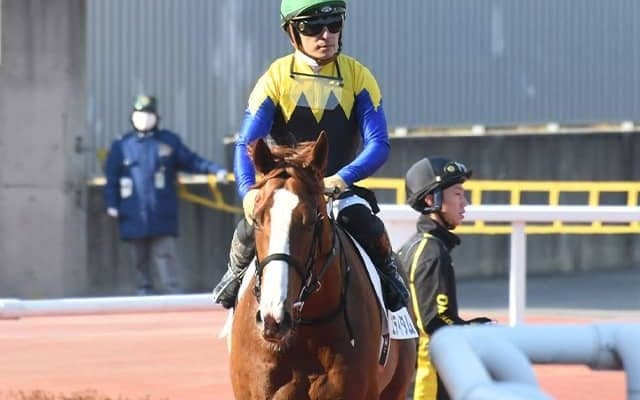 【神奈川記念注目馬】今年限りの記念重賞 歴史に名を刻むのは中央勢か地方勢か