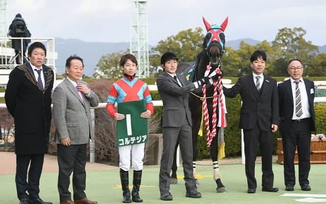 20年のきさらぎ賞覇者コルテジアが競走馬登録を抹消 栗東トレセンで乗馬に
