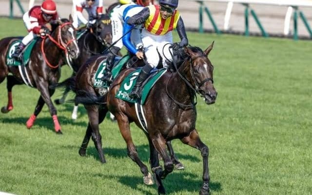 21年・23年のアイビスSDを制覇 “千直女王”オールアットワンスが抹消