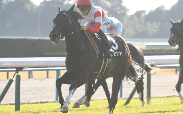 【朝日杯FS・調教後馬体重】ダノンマッキンリーは470kg、ジャンタルマンタルは490kg