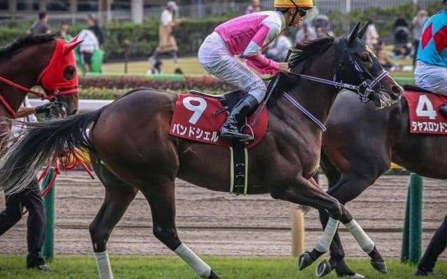 種牡馬になった兄バンドワゴンと弟スワーヴリチャード 朝日杯FSで息子同士が対決