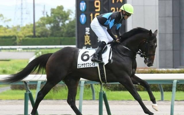 エイシンヒカリ産駒の伏兵2頭が朝日杯FSにエントリー 父に初のGIタイトルを届けるか