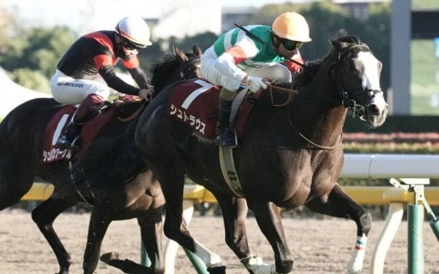 【朝日杯FS】出走馬の調教後の馬体重