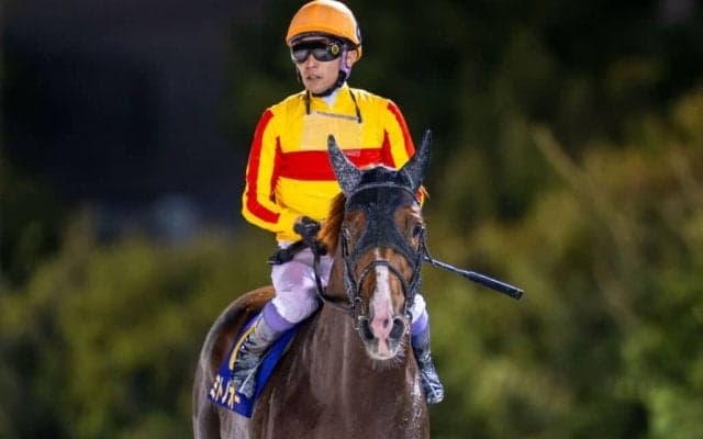 【名古屋グランプリ】JRA出走予定馬