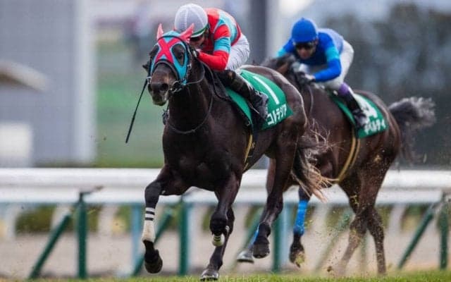 コルテジアが競走馬登録抹消