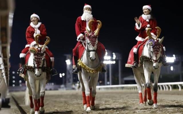 14頭すべてが芦毛のレース 45thホワイトクリスマス賞の枠順決定…川崎にひと足早いクリスマス