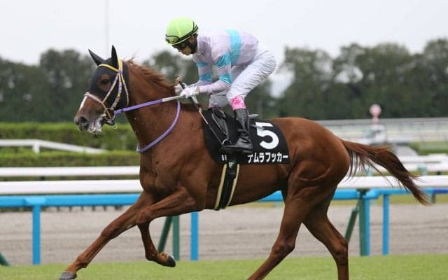 朝日杯FSで期待は「２歳GⅠ向きの血」で構成された一頭　好調のキズナ産駒も外せない